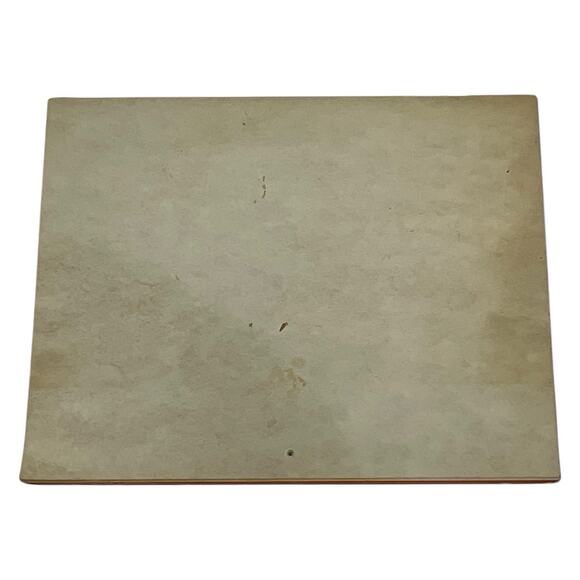 Vintage 1966 Rexall Drug Store Advertising Calendar Weather Chart 1966 Pharmacy - Picture 6 of 6